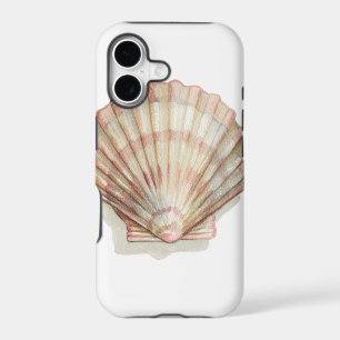Pink and Cream Seashell