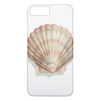 Pink and Cream Seashell