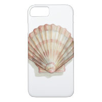 Pink and Cream Seashell