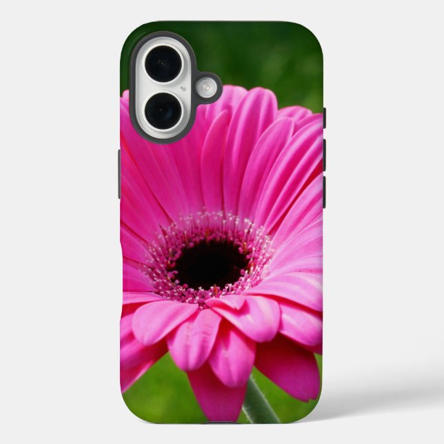 Pink and Green Gerbera Daisy Case-Mate iPhone Case (Back)