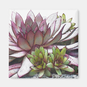 Pink and Green Hens and Chicks Magnet