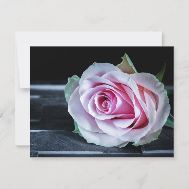 Pink and Green Roses Invitation (Front)