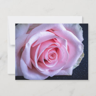 Pink and Green Roses Invitation