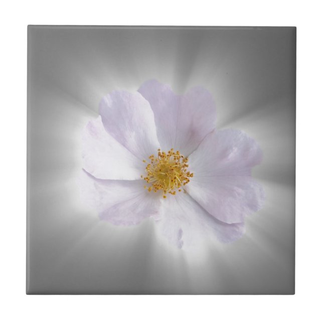 pink and grey tile (Front)