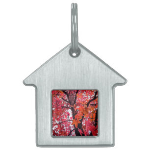 Pink and orange leaves pet ID tag