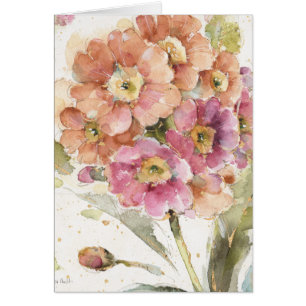 Pink and Orange Primrose