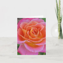 Pink and Orange Rose Personalised Greeting Card