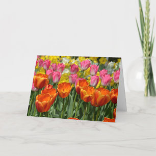Pink and orange spring tulips greeting card