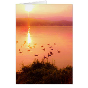 Pink and peach lake sunset