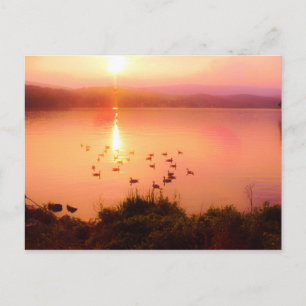 Pink and peach lake sunset postcard