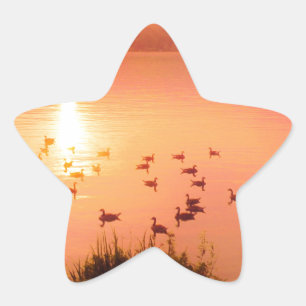 Pink and peach lake sunset star sticker