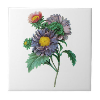Pink and Purple Aster by Pierre-Joseph Redouté Tile