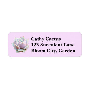 Pink and Purple Echeveria Lola Succulent Return Address Label