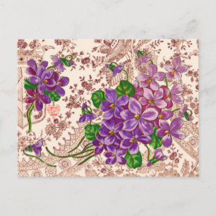Pink And Purple Flowers Postcard