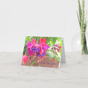 PINK AND PURPLE FUCHSIA CASCADING FROM CLAY POT CARD