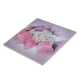 Pink and Purple Lace Cap Hydrangea Flowers Tile