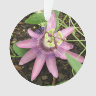 Pink and Purple Passionflower Acrylic Ornament
