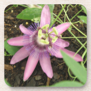 Pink and Purple Passionflower Cork Coaster
