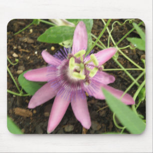 Pink and Purple Passionflower Mousepad