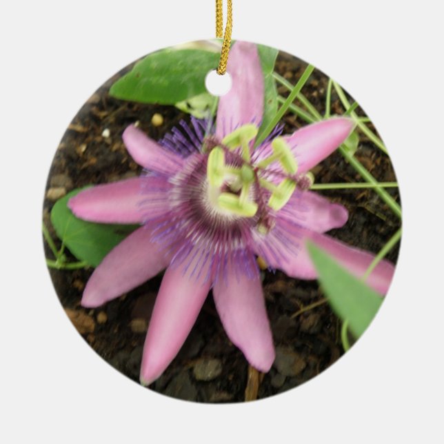 Pink and Purple Passionflower Ornaments (Front)