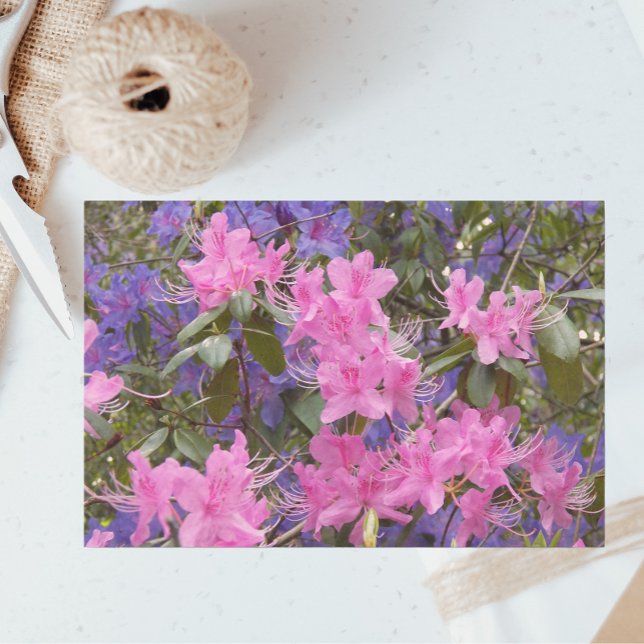 Pink and Purple Rhododendrons Floral Tissue Paper (In Situ)