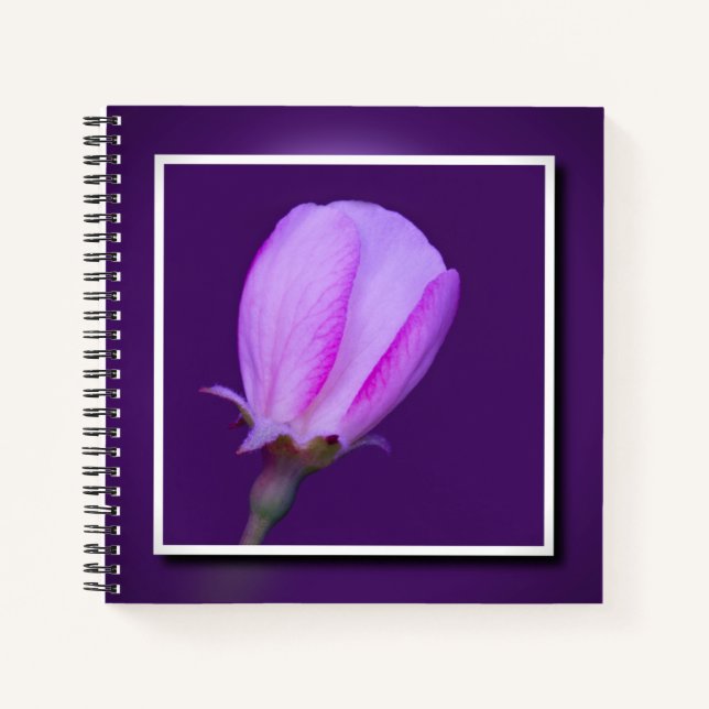 Pink and Purple Spring Blossom Elegant Floral Notebook (Front)