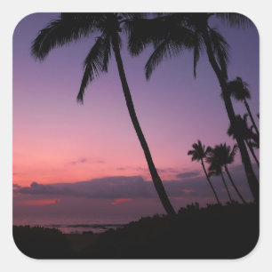 Pink and purple tropical sunset sticker