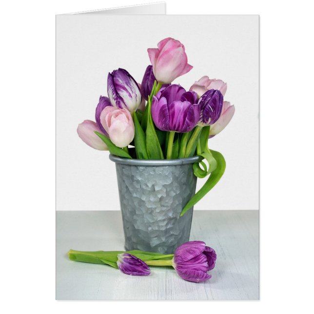 pink and purple tulip bunch (Front)