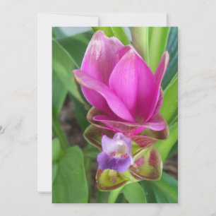 Pink and purple Turmeric Flower photo on an Invitation