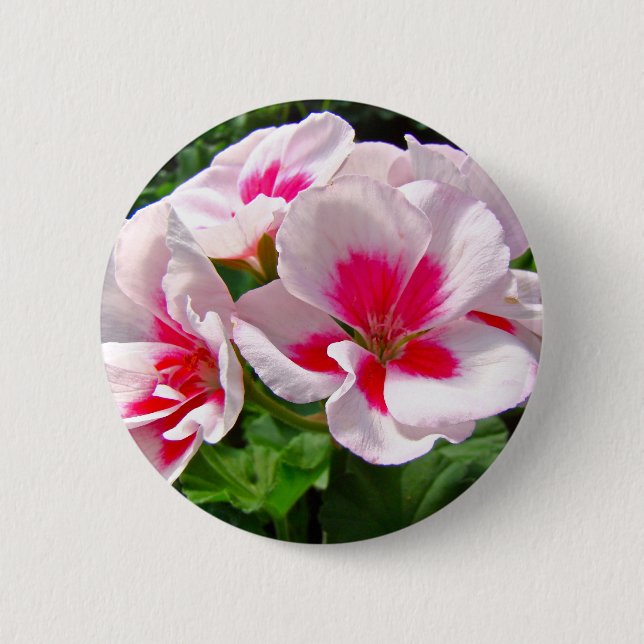 Pink and Red Geranium Floral 6 Cm Round Badge (Front)