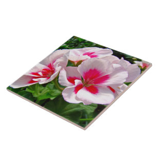 Pink and Red Geranium Floral Tile