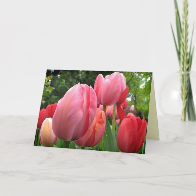 Pink and Red Spring Tulip Flowers Birthday Card (Front)