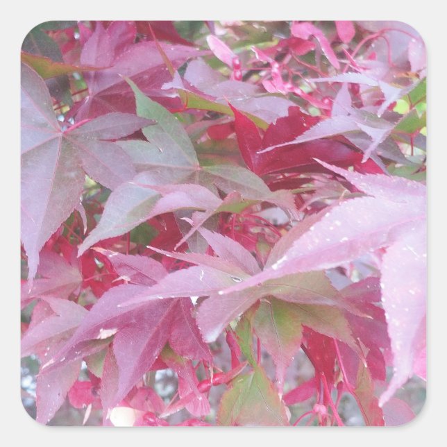 Pink And Sage Fall Leaves Square Sticker (Front)