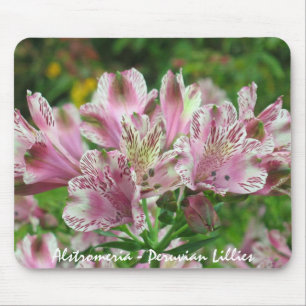 Pink and White Alstromeria Mousepad