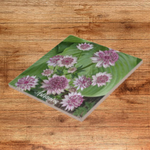 Pink and White Astrantia Floral Ceramic Tile