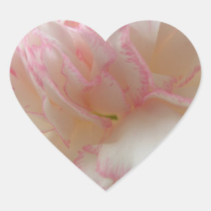 Pink and White Carnation Heart Sticker