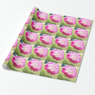 pink and white changeable hibiscus bloom wrapping paper