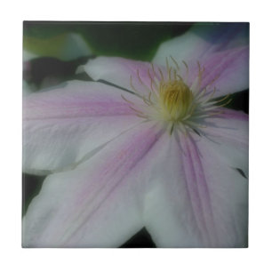 Pink And White Clematis Flower Nature Ceramic Tile