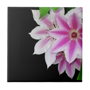 Pink and White Clematis Flowers Ceramic Tile