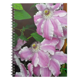 Pink and white clematis flowers notebook