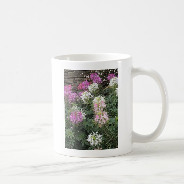 Pink and White Cleome Blooms Coffee Mug (Right)
