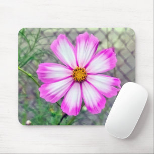 Pink and White Cosmos Flower Mouse Pad