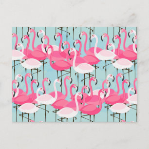 Pink And White Crowd Of Flamingos Postcard