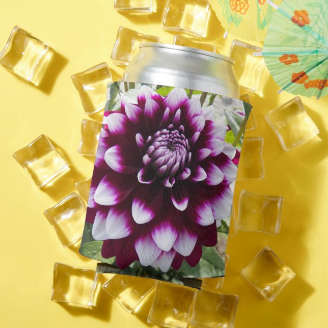 Pink and White Dahlia Floral Can Cooler (In Situ Summer)