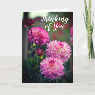 Pink and White Dahlia Flower Thinking of You Card