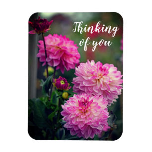 Pink and White Dahlia Flower Thinking of you Magnet