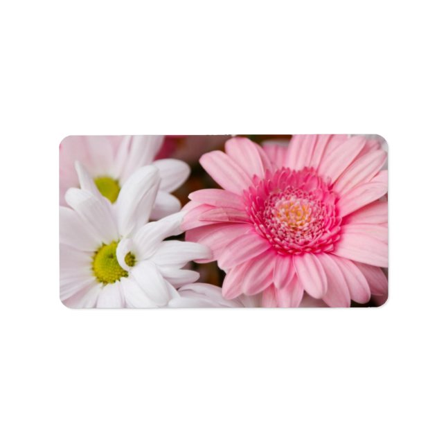 Pink and White Daisies Label (Front)