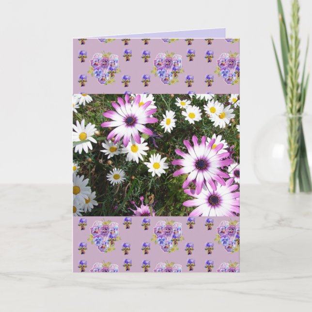 Pink and White Daisy Flower Floral Photo art Card (Front)