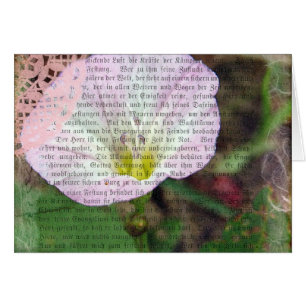 Pink and White Field Bindweed All Occasions