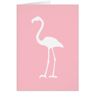 Pink and White Flamingo